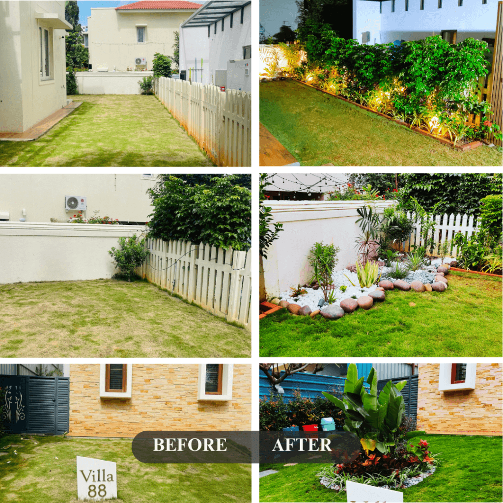 Before and After Landscape garden